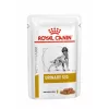 ROYAL CANIN Urinary S/O - märkäruoka koirille - 12 x 100g