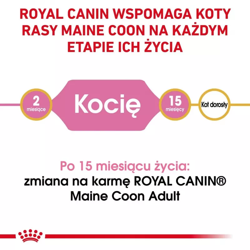 ROYAL CANIN Maine Coon Kitten - kuivaruoka kissoille - 4 kg