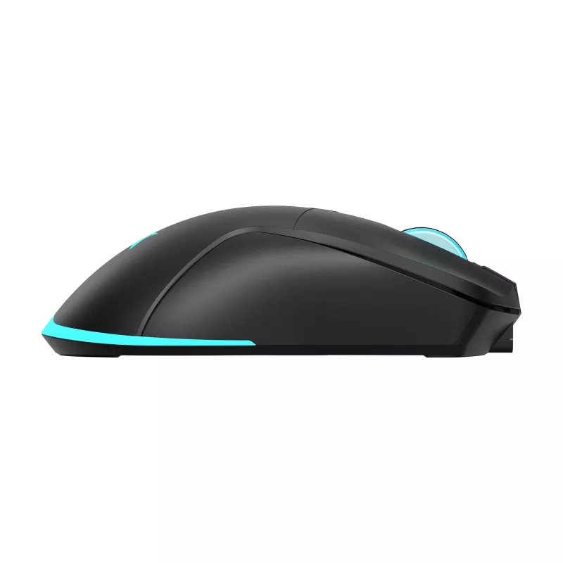 Baracuda BGM-121 Turtle -hiiri musta USB