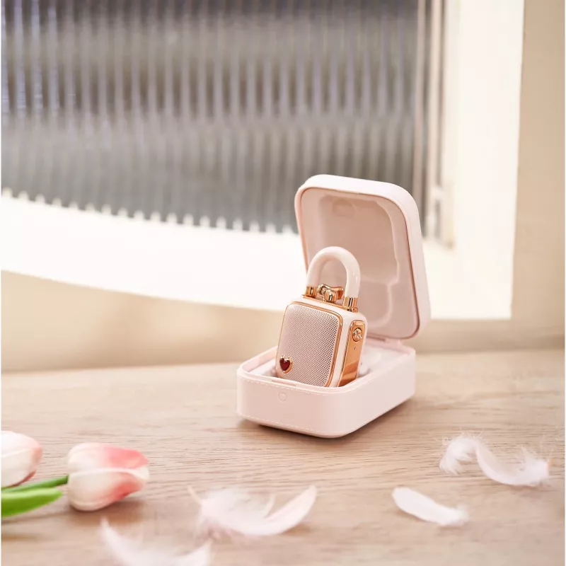 Kannettava mono-kaiutin Divoom LoveLock pinkki
