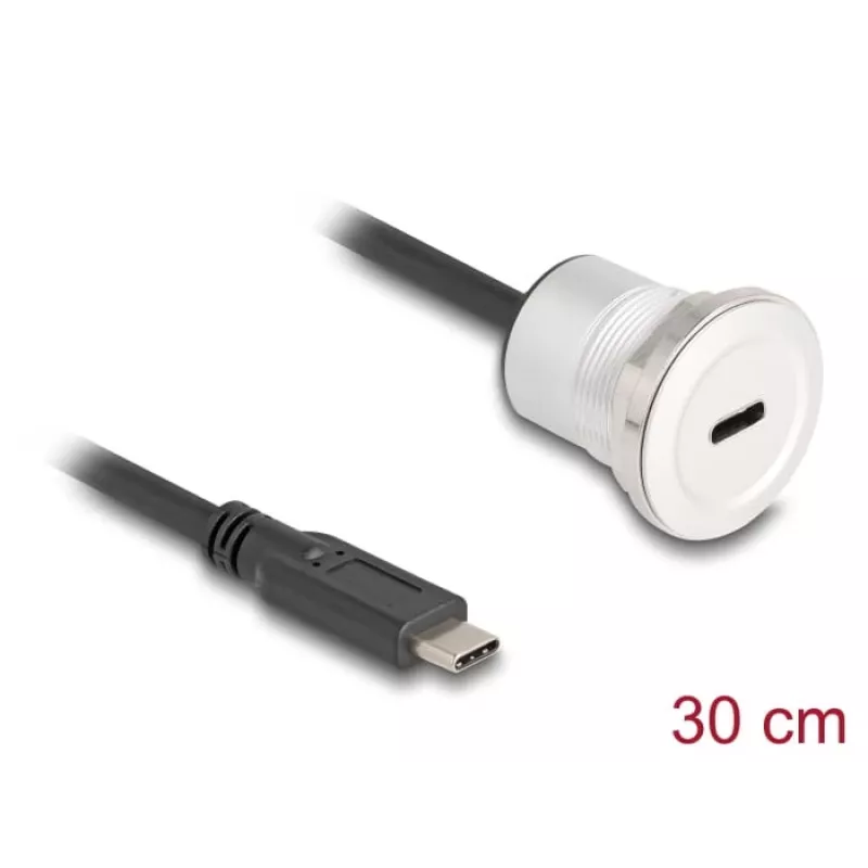 USB-kaapeli DeLOCK 88183 0,3 m USB-C musta hopea