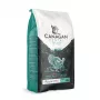 Canagan kuivaruoka kissoille Dental 1,5 kg