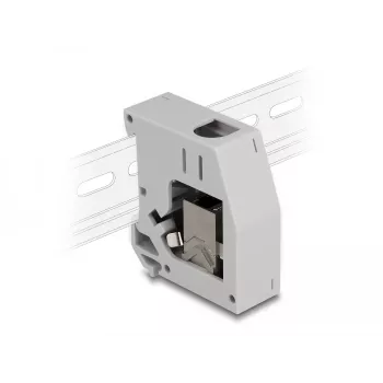 DeLOCK DIN-kiskoadapteri RJ45-liitin – RJ45-liitin Cat.6A harmaa