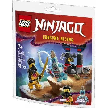 Rakennuslelu LEGO-sarja 30700 Arins Kampf mit dem Drachenmann Polybag (minisarja)