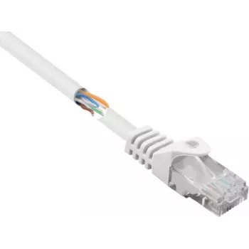 Renkforce RF-5043828 Ethernet-verkkokaapeli valkoinen