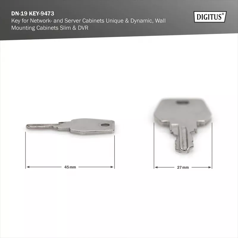 Avain verkko- ja palvelinkaappeihin Digitus DN-19 KEY-9473