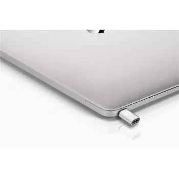 Wentronic Goobay USB-C™ -adapteri - USB 2.0 Micro-B -liitäntä, hopea - USB-C™-laitteen liittämiseen USB 2.0 Micro-B -kaapelilla (56636)
