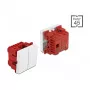DeLOCK Easy 45 keinukytkin 2-paikkainen, 45 x 45 mm, valkoinen, 250 V AC 10 A