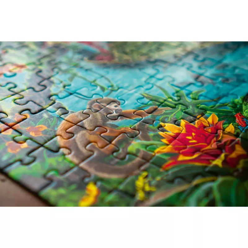 Ääriviivapalapeli Ravensburger 12924 368 palaa taide