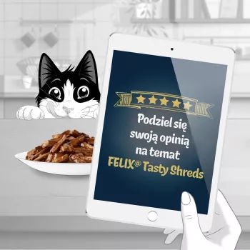 FELIX Tasty Shreds naudanlihalla ja kanalla - 4x 80 g