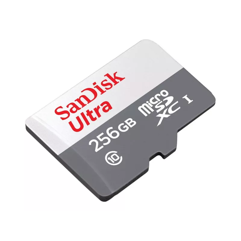 Flash-muisti SanDisk 256 GB MicroSDXC UHS-I SDSQUNR-256G-GN6TA
