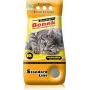 Certech Super Benek Standard Natural - paakkuuntuva kissanhiekka 10 l
