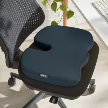Leitz Ergo Cosy istuintyyny, istuintyyny, yleiskäyttö, harmaa, kiila, yksivärinen, vetoketju