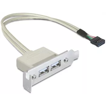 Korttipaikkapelti USB 2.0 DeLOCK 0,5 m