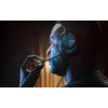 Kuulokkeet Steelseries Arctis Nova Pro Xbox