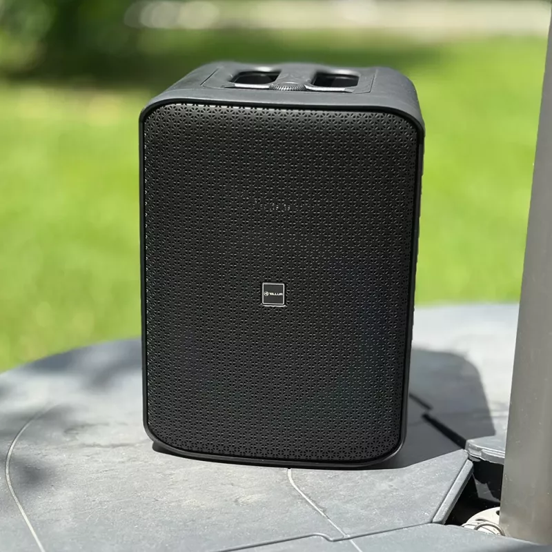 Tellur Bluetooth Speaker Buzz kannettava kaiutin musta
