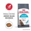Royal Canin Urinary Care kuivaruoka kissoille 4 kg