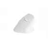 NATEC Crake 2 -hiiri, yleismalli, oikeakätisille, RF Wireless + Bluetooth, optinen, 2400 DPI