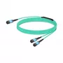 Verkkokaapeli Nvidia MFP7E20-N010 InfiniBand 10 m MPO 2x MPO sininen