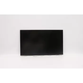 Lenovo NÄYTTÖ INX 39,6 cm (15,6