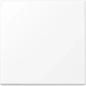 Jung keinupainike painonapille LS101WWM (LS101WWM)