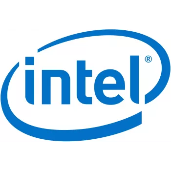 Intel Remote Management Module 4 Lite 2 - etähallinta-adapteri (AXXRMM4LITE2)