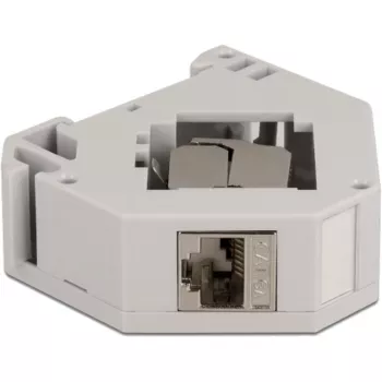 Delock - modulaariadapteri - DIN-kiskoon asennettava - CAT 6a - STP - harmaa - 1 liitäntä (86014)