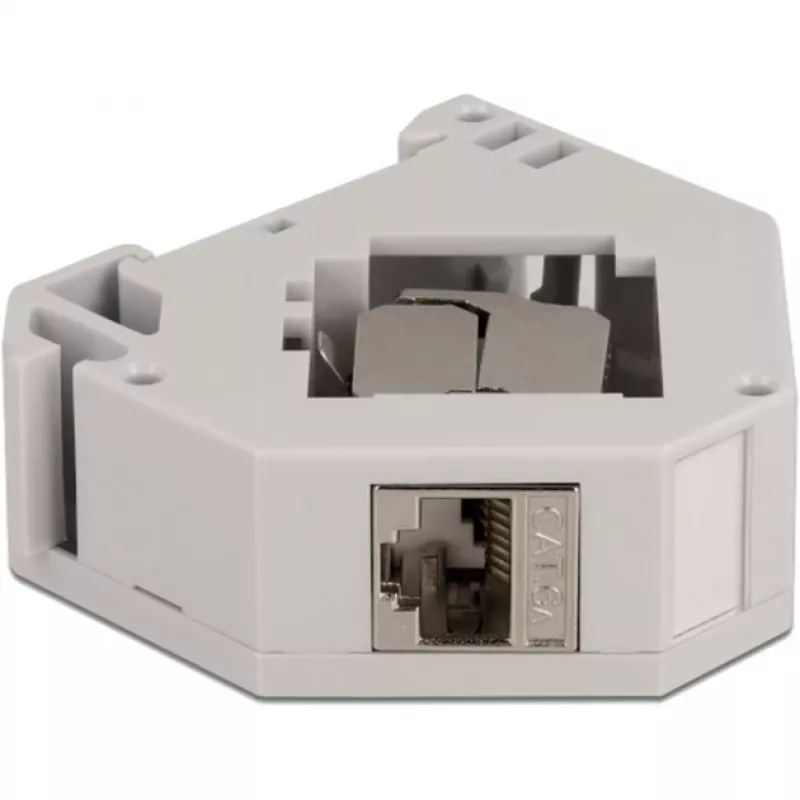 Delock - modulaariadapteri - DIN-kiskoon asennettava - CAT 6a - STP - harmaa - 1 liitäntä (86014)