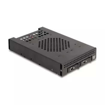SSD-kotelo DeLOCK 47117 3,5 tuuman vaihtokehys 2 x M.2 NVMe SSD