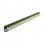 DeLOCK 19 tuuman jatkospaneeli 43362 24 port LC Duplex limegreen