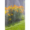 GARDENA sumuletin 7,5 m (1995-20)