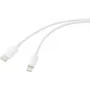 Renkforce USB-kaapeli USB 2.0 USB-C®-pistoke, Apple Lightning -pistoke 1,00 m valkoinen (matta) RF-5724078 (RF-5724078)