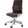 Selkätuki PlushTouch/Lumbar 8026501 FELLOWES