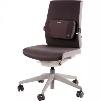 Selkätuki PlushTouch/Lumbar 8026501 FELLOWES
