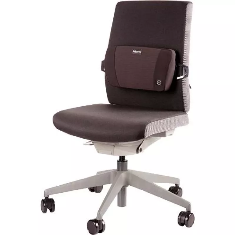 Selkätuki PlushTouch/Lumbar 8026501 FELLOWES