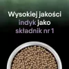 PURINA PRO PLAN LIVECLEAR KITTEN runsaasti kalkkunaa 1,4 kg