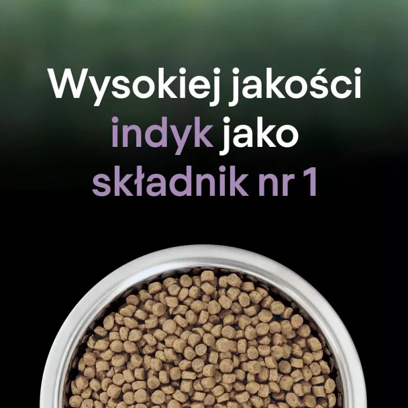 PURINA PRO PLAN LIVECLEAR KITTEN runsaasti kalkkunaa 1,4 kg