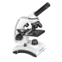 Läpivalomikroskooppi Deltaoptical DO-3330 — BioLight 300, jopa 300-kertainen suurennus, LED-valaistus