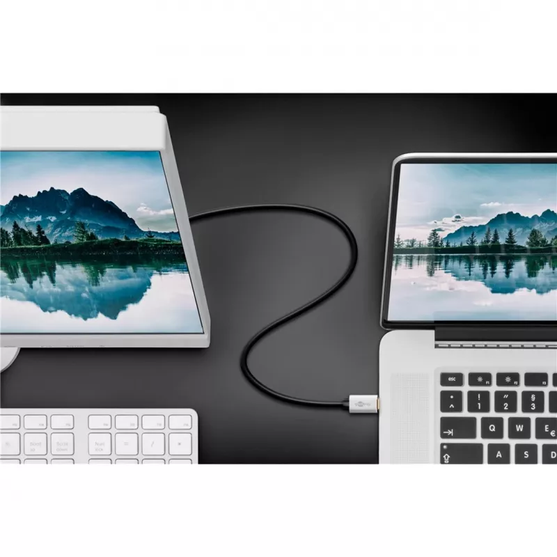 Goobay | USB-C - DisplayPort adapterikaapeli | 60176 | Type-C | DisplayPort | USB-C - DisplayPort | 2 m