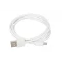 Virtalaturi iBOX C-41 USB 2A, 1 USB-portti, microUSB-kaapeli, valkoinen