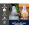 Beper P201UTP124 sähköinen höyrykeitin 2-tasoinen 800 W, työtason ruoankeitin