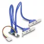 DeLOCK 61066 sisäinen USB 3.2 Gen 1 -sovitin M.2 pistoke musta