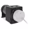 Alphacool Core 100 Aurora 15393 paisuntasäiliö, D5/VPP, ARGB, asetaali/akryyli, musta