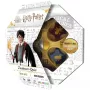 Harry Potter velhokilpailu, tietovisapeli