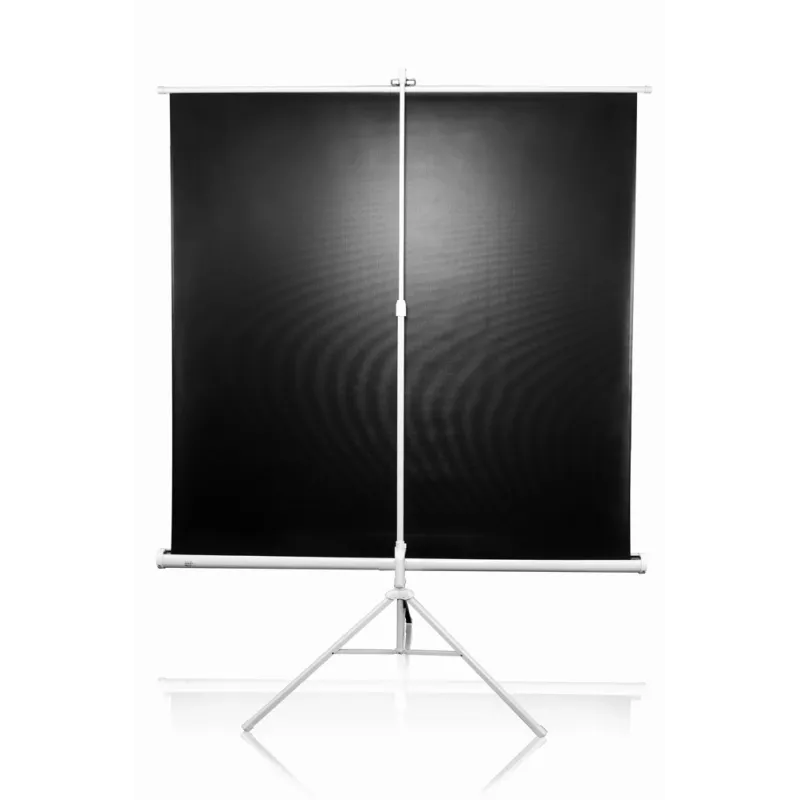 Jalustallinen projektiokangas Elite Screens T113NWS1 2,87 m 1:1