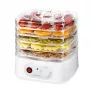 Esperanza EKD004 kuivuri, läpinäkyvä, valkoinen 250 W