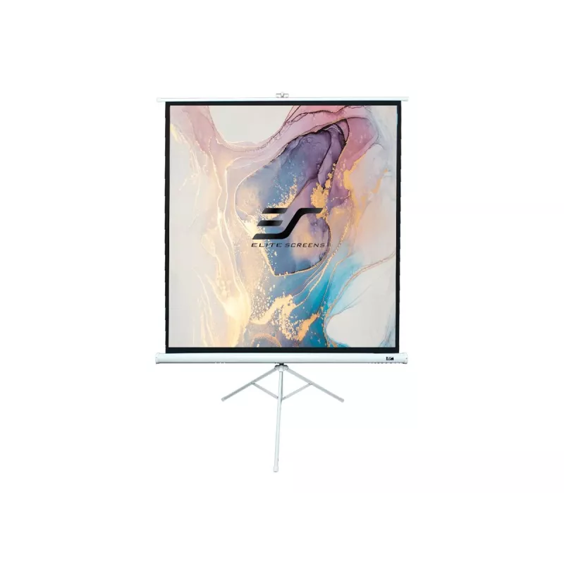 Jalustallinen projektiokangas Elite Screens T99NWS1 2,51 m 1:1