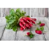 Opolanka-retiisi Toraf vihannessiemenet, 10 g pakkaus