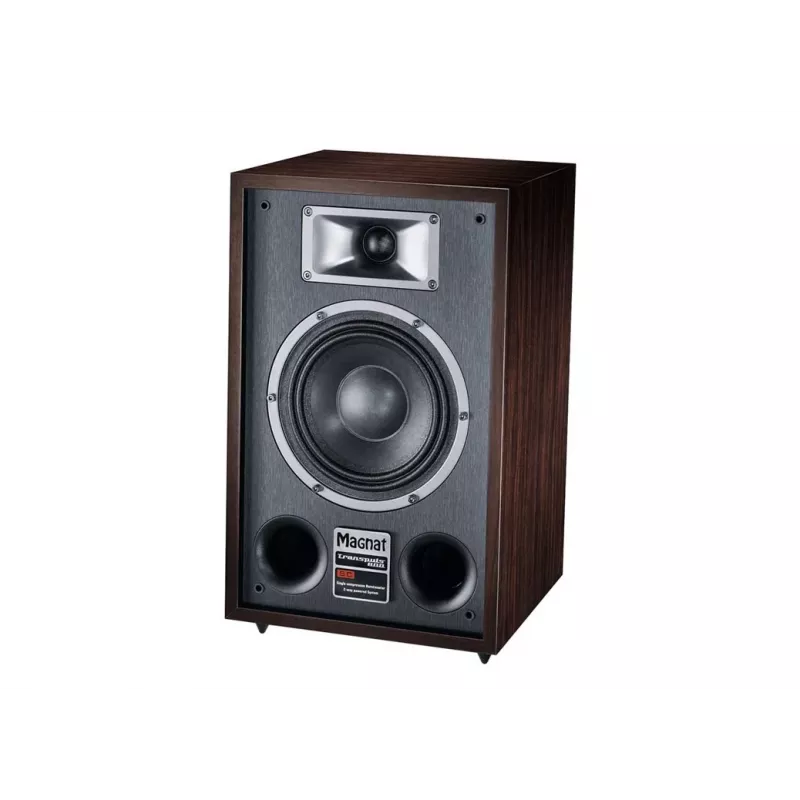 Magnat TRANSPULS 800A -kaiutinjalusta 2-tie langallinen & langaton 2×60 W, Bluetooth 5.0, HDMI, musta/ruskea