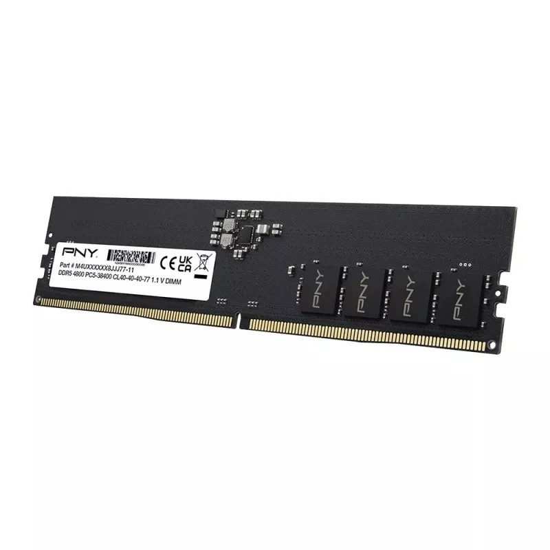 Työpöytämuisti PNY 8GB DDR5 5600 DIMM (MD8GSD55600-SB)